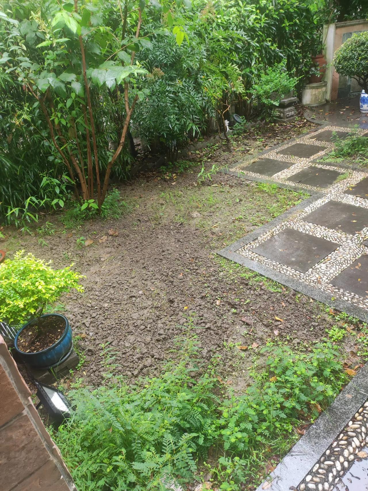 #一句话记录秋日心情#
秋风也化雨
落叶更护花
撒下几把种
期待一片绿