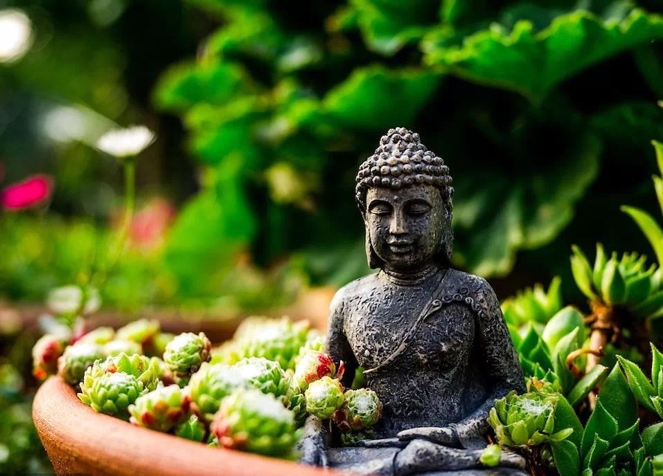 要多修多供养，供水果、供鲜花、布施功德费、供油、叩拜等，都是供养。要供养佛法僧，