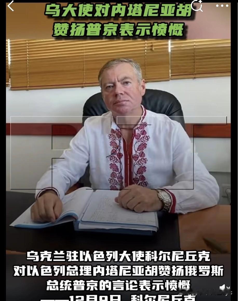 乌克兰驻以色列大使科尔尼丘克对以色列总理内塔尼亚胡赞扬俄罗斯总统普京的言论表示愤