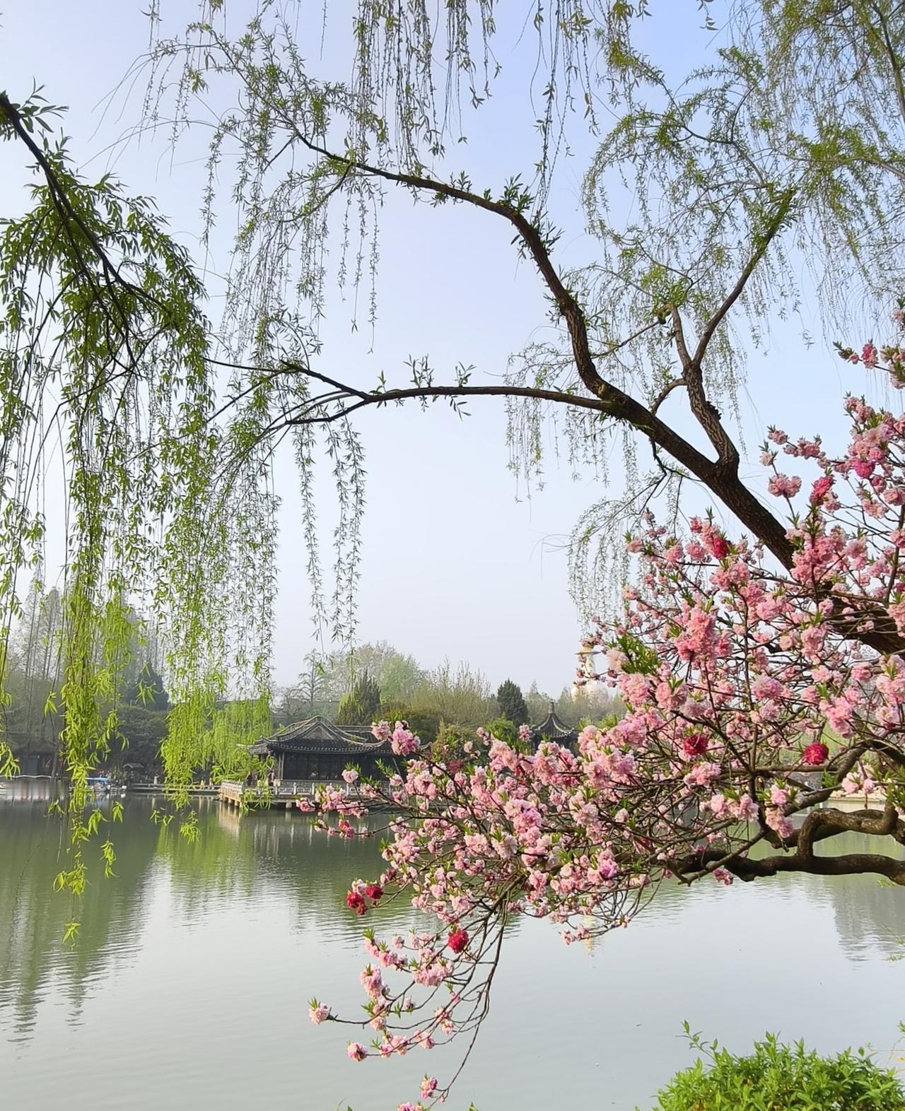 今年春天最想实现的心愿春天的花花草草，映照了当日的美丽。