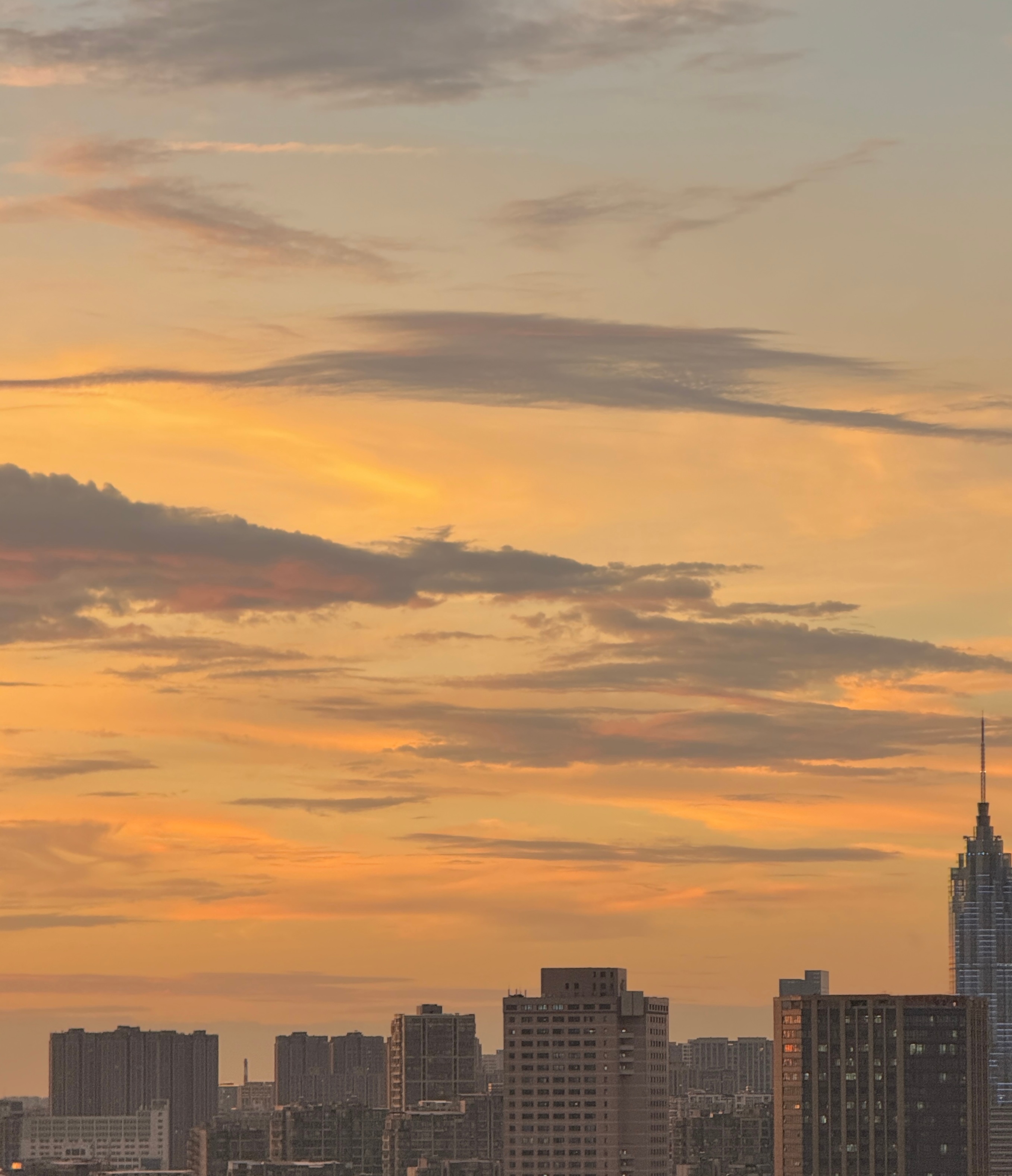 一头扎进2025的夏日🌅 ​​​