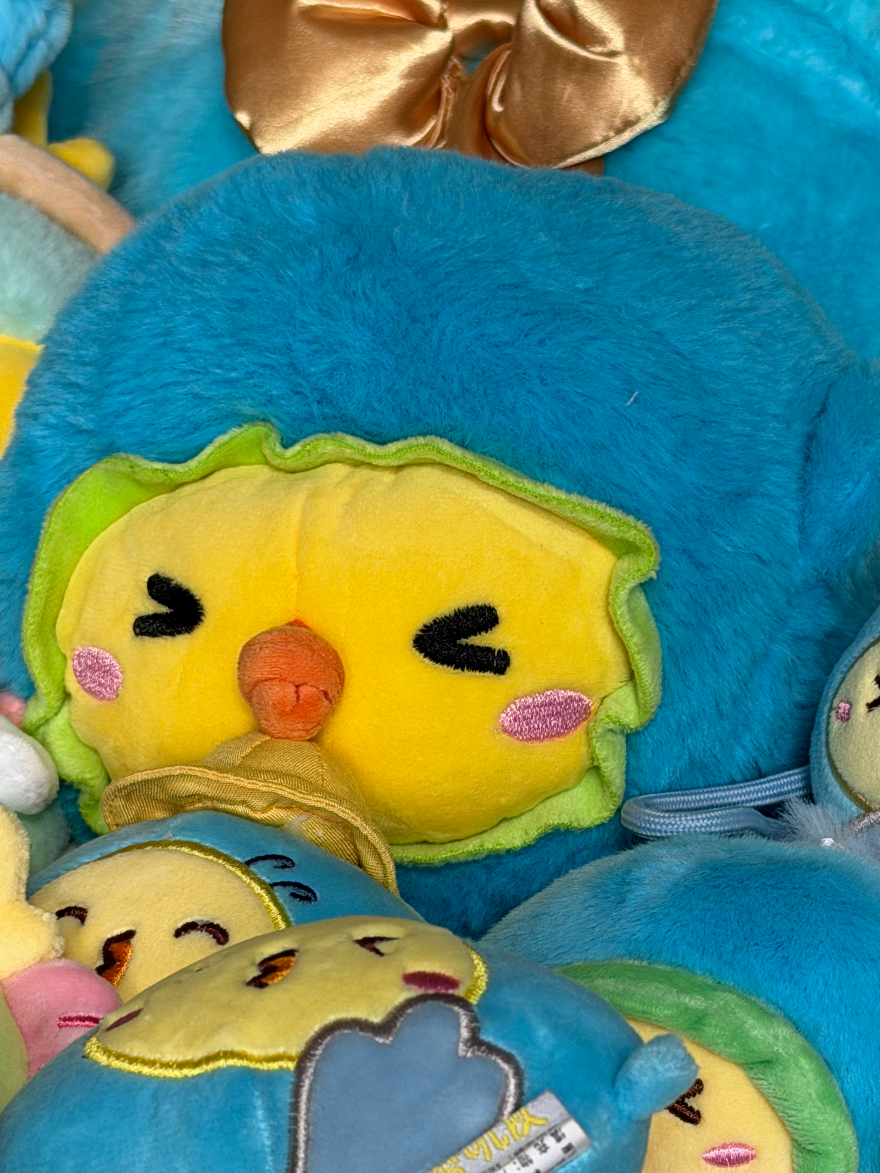 萌宠博主好久没晒娃噜