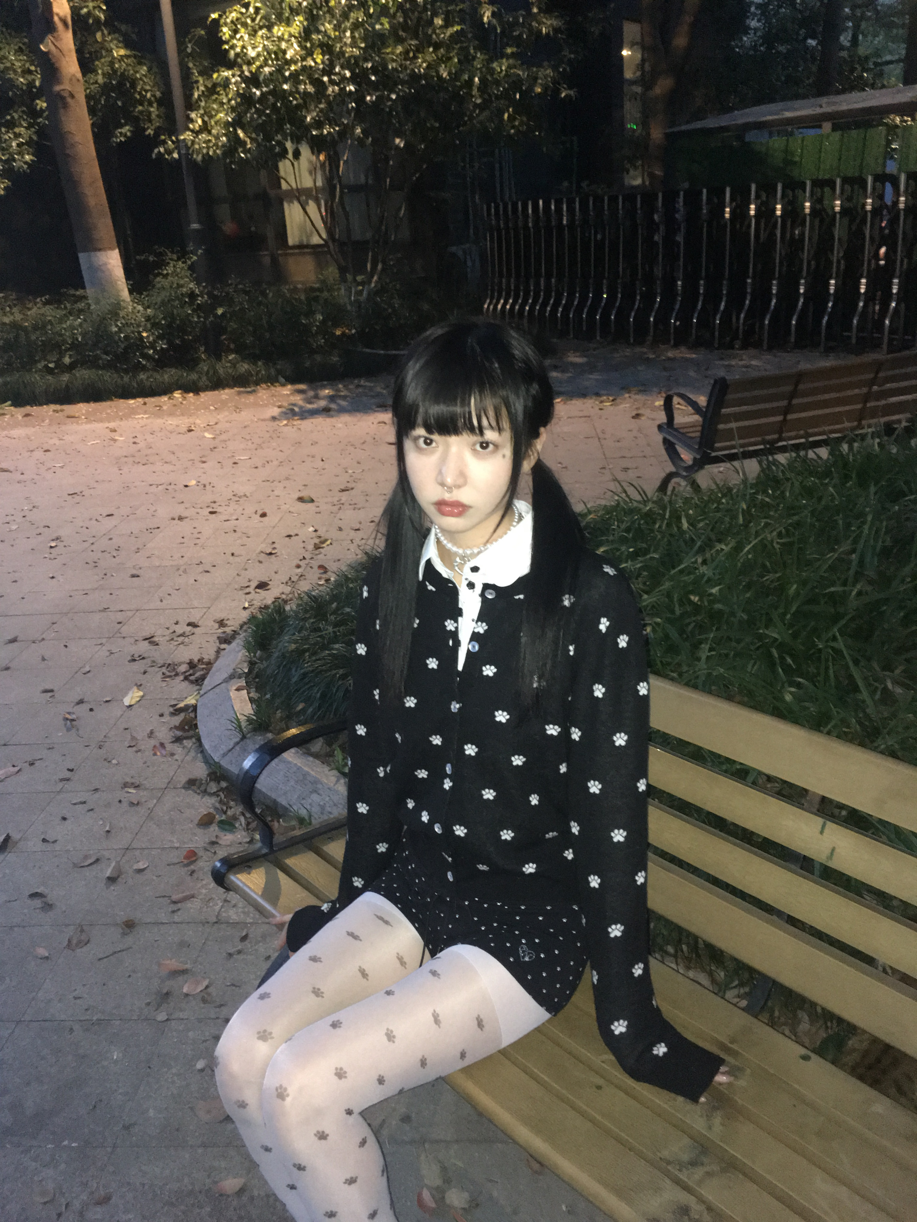 遇到一只小猫🐱 ​​​