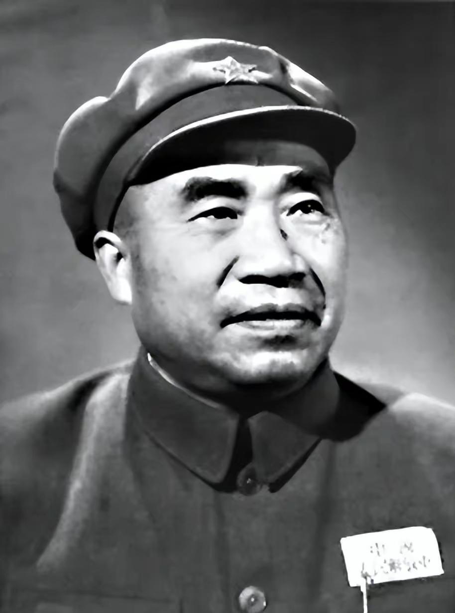 英才超群
        建国以后，朱老总曾谈过向西方学习引进国外技术的问题。