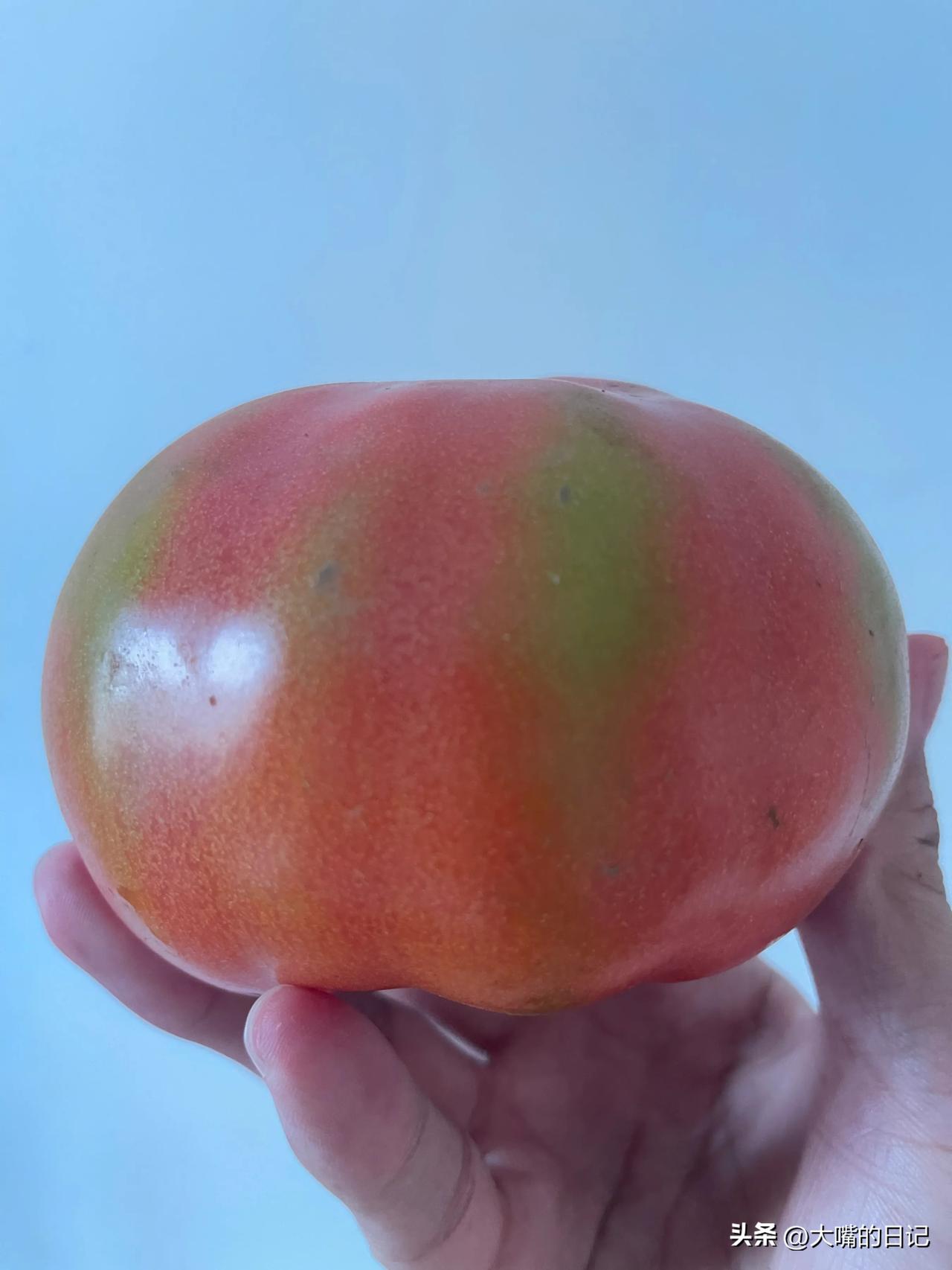 时光流转，犹如当年。青红之际，恰如少年。人生不惑，感慨良多。