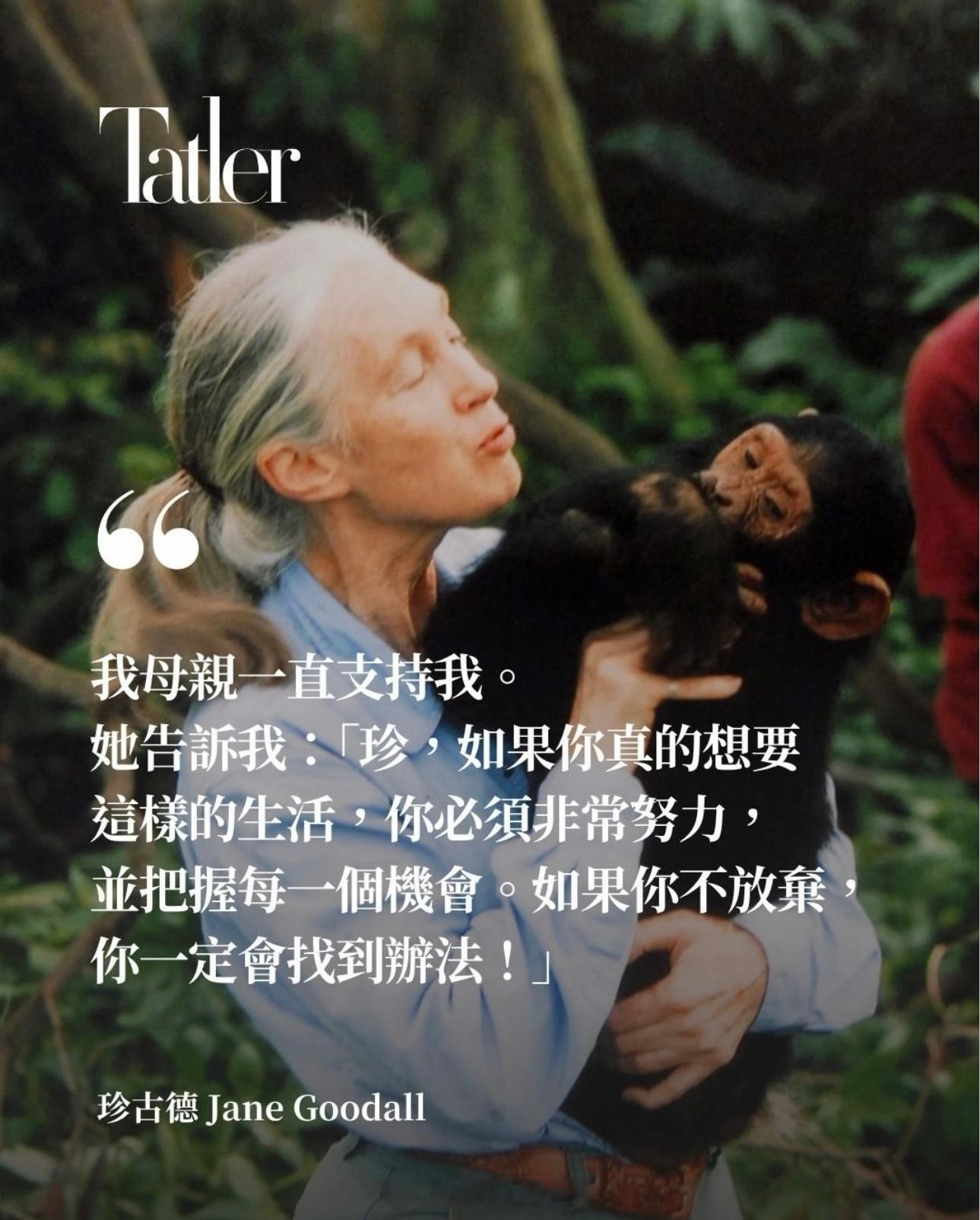 珍古德Jane Goodalljanegoodall ​​​