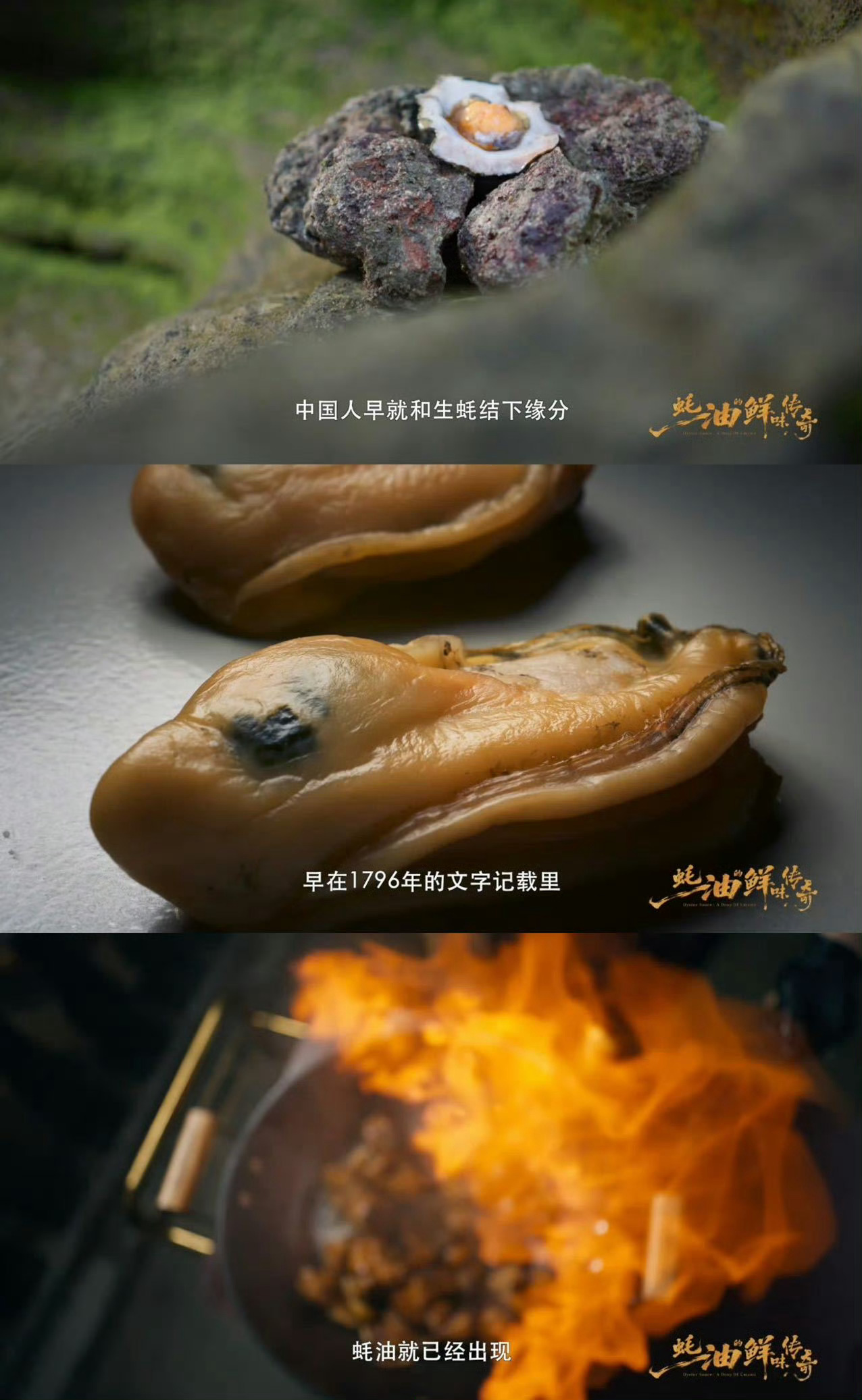 原来1796年老祖宗就吃上蚝油了 清代诗人写诗只为换一瓶蚝油，这鲜味传承太绝了！