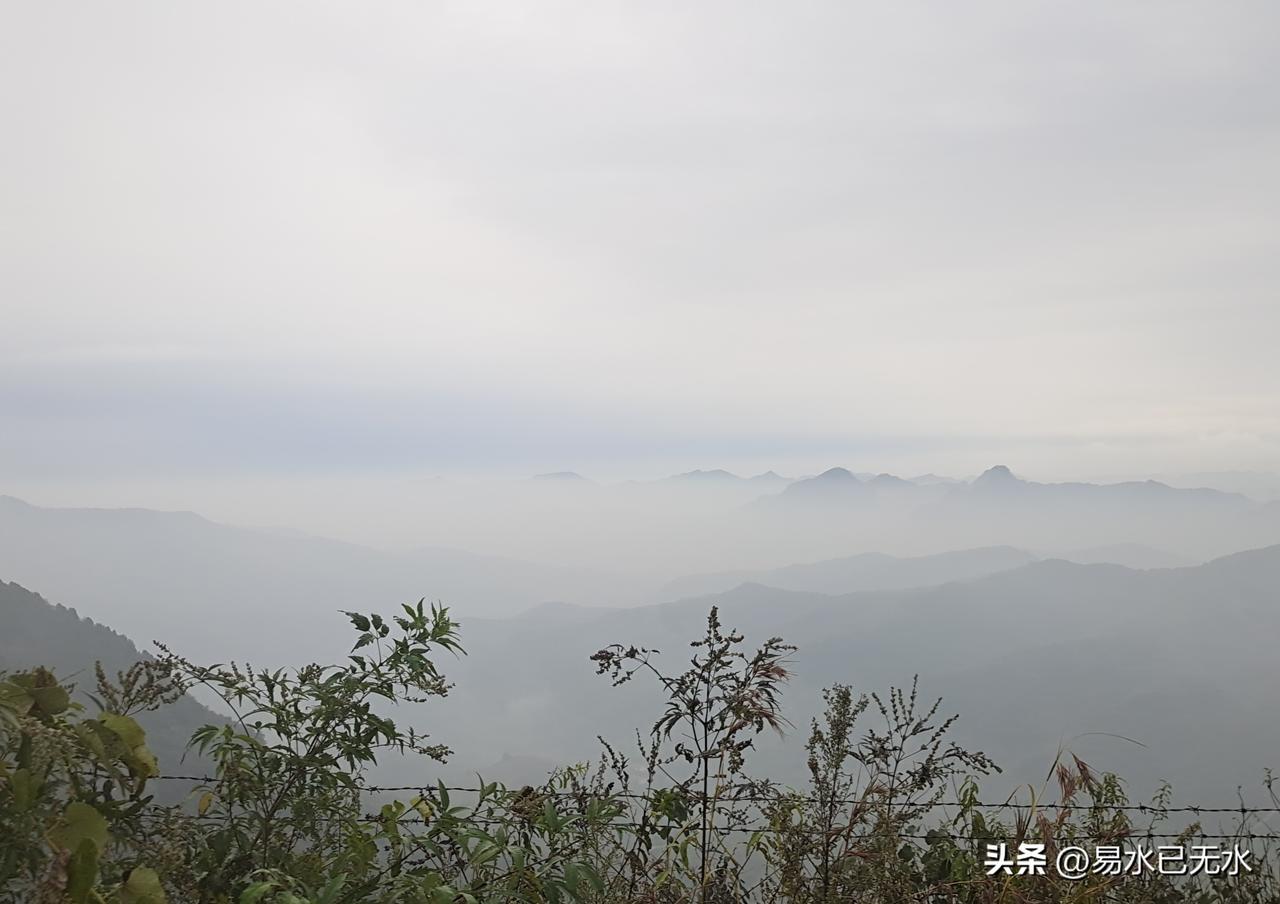 旅游这个市场是最真实表现消费者行为的市场，毕竟在这个市场里，没有人非要说你必须去