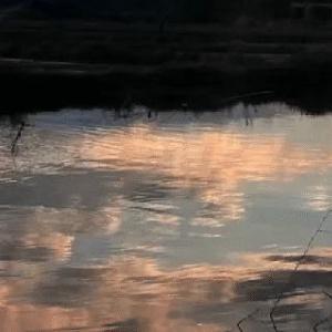 每日一善阳光信用 小善如涓涓细流, 汇聚成海, 润泽万物；大善如浩渺星空, 照亮