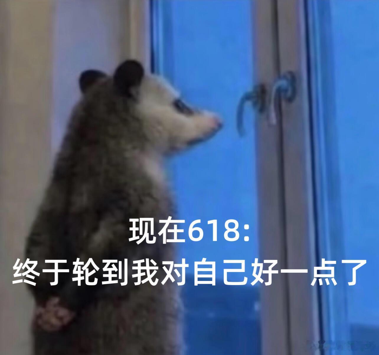 618终极冲刺冲冲冲以前总觉得：“这个不用买”“还能忍”“别乱花钱”后来发现，人