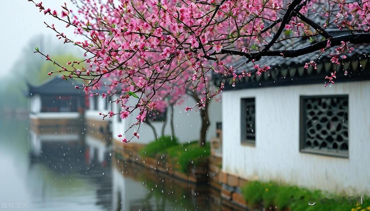 《桃花春雨江南》

春雨轻洒，
如丝弦轻拨
敲醒沉睡水乡
桃花初绽，
似粉云飘落