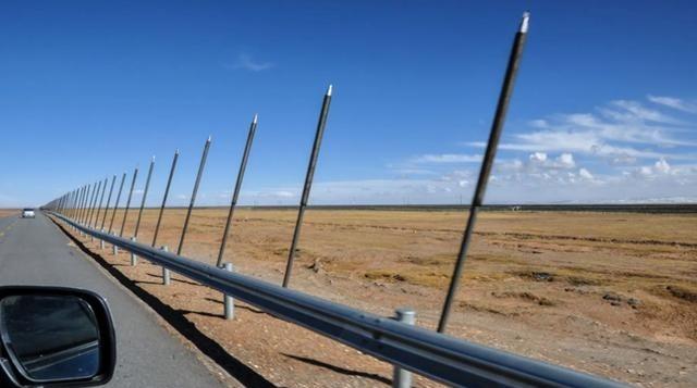 青藏铁路两旁有很多的“铁棒”，它们一根造价20元左右，却数不胜数，你可能以为它们