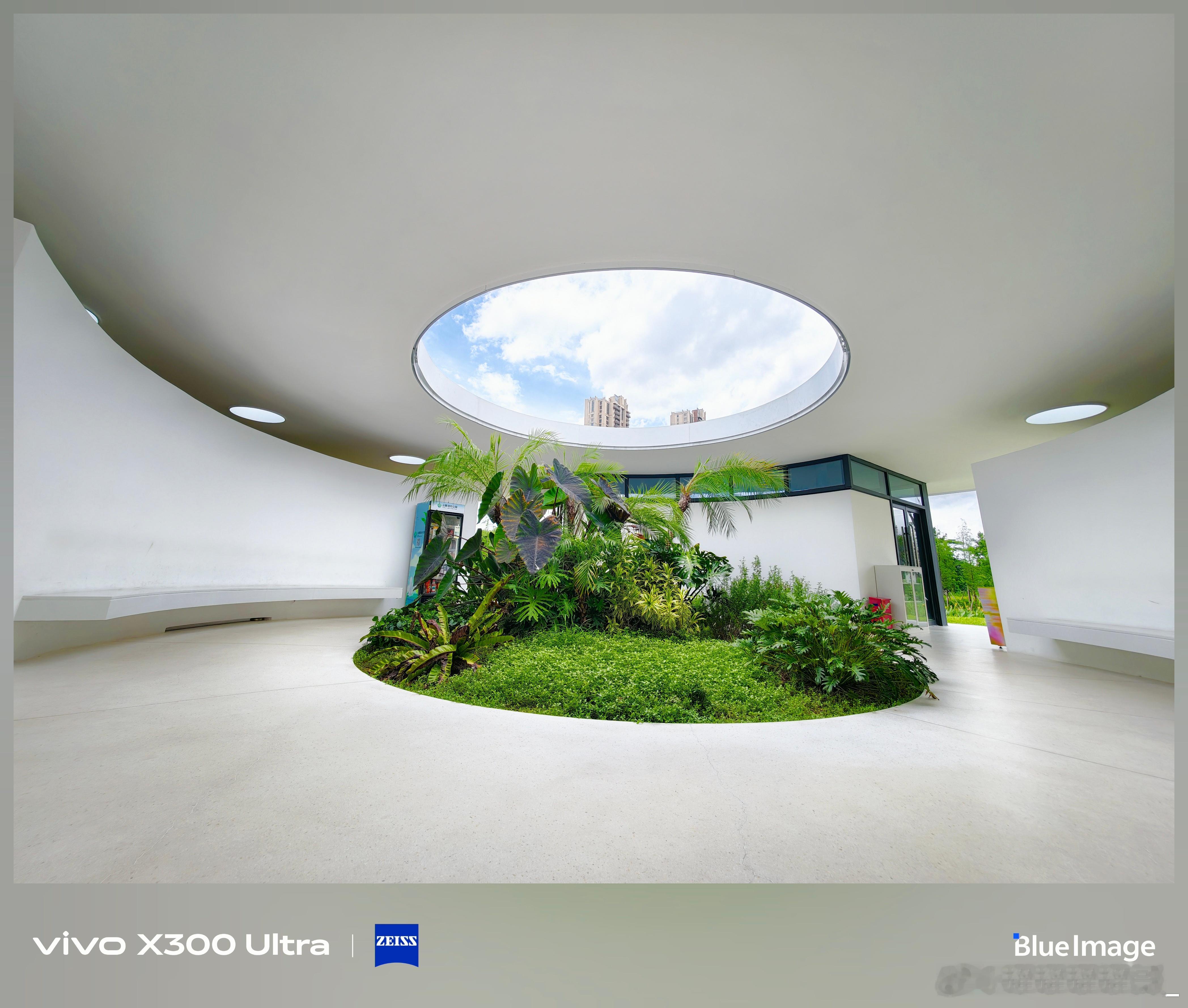 vivo vivo X300 Ultra随拍。周日带上手机外出，多逛逛，多看看。
