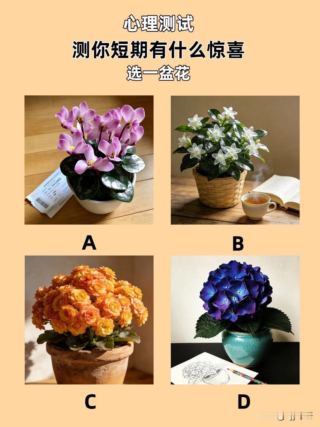 测你短期有什么惊喜
选一盆花