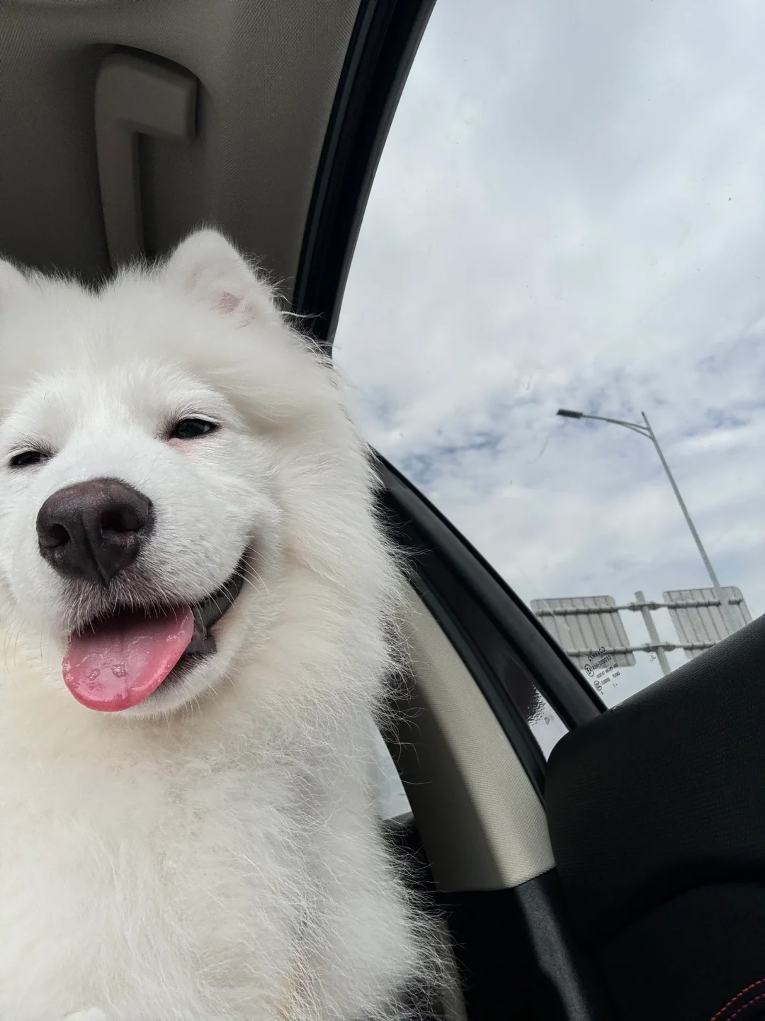 承认吧！你也很为我着迷吧 🥰