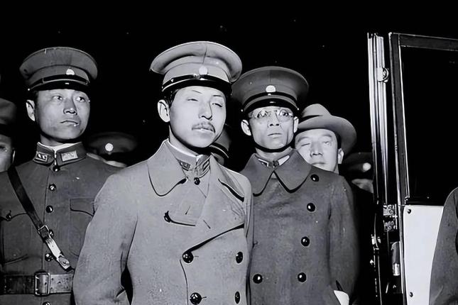 1936年西安事变和平谈判结束后，张学良独自决定陪同蒋介石飞回南京，后世很多人判