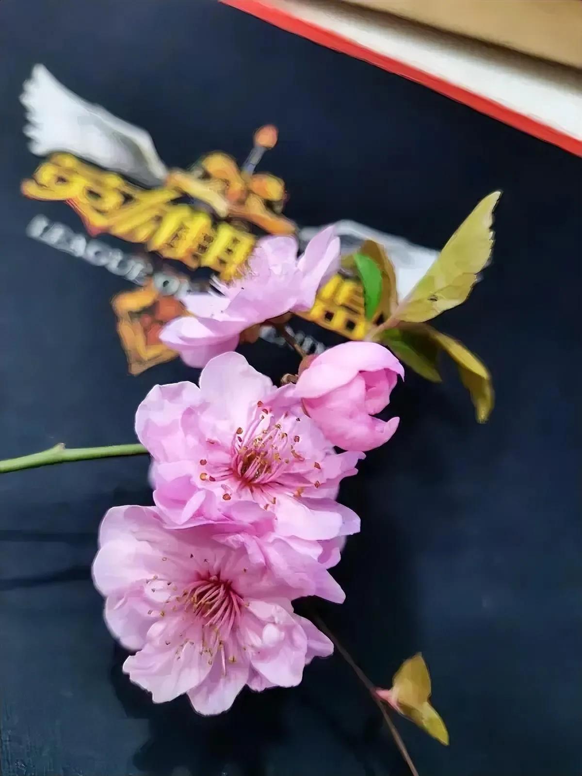 春日领花束，在游戏里也是别有一番乐趣。在魔兽世界6.1版本的复活节，有个神秘的春