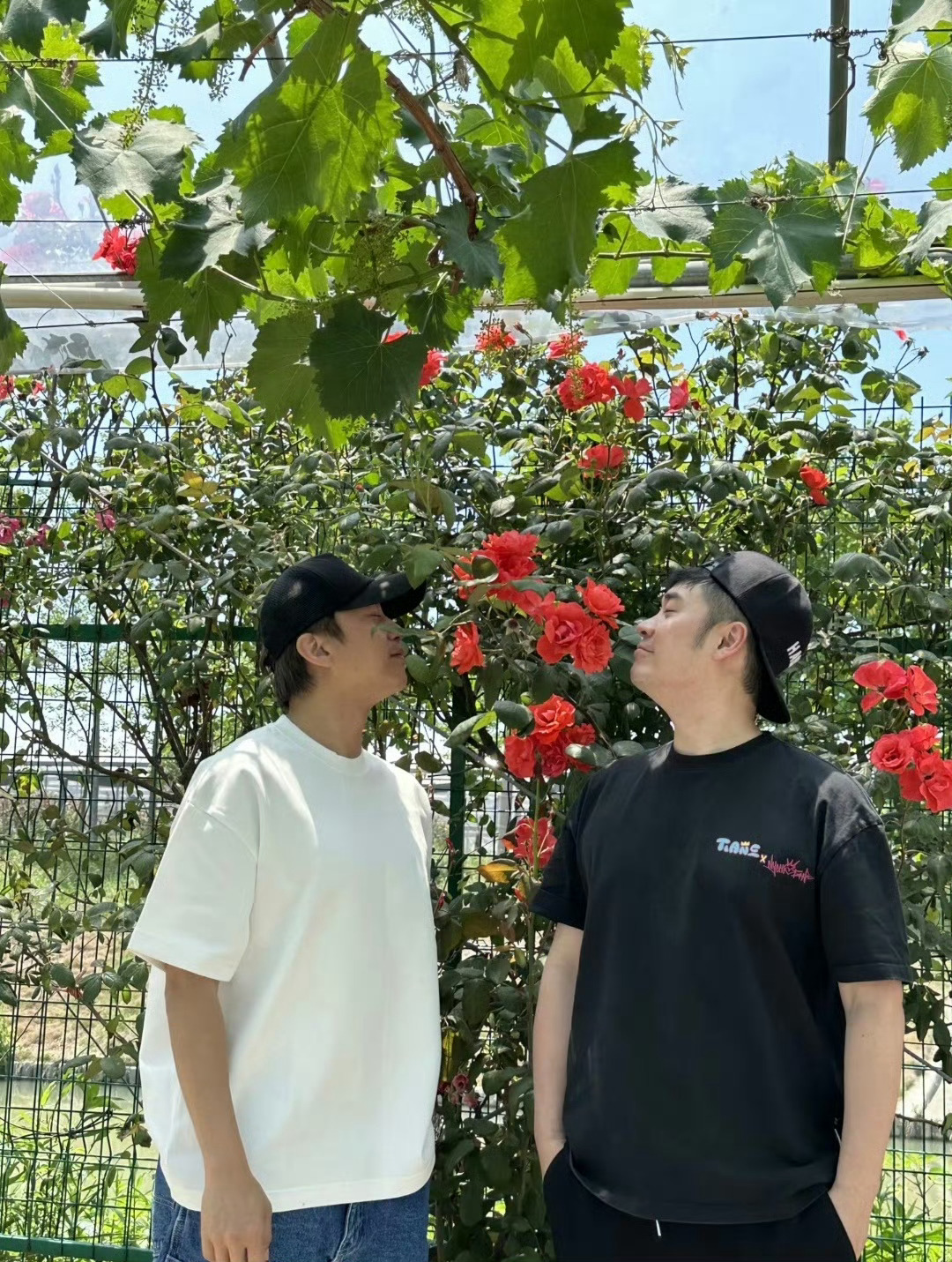 邓超说陈赫上百首歌没有一首深入人心论独特打call方式，还得是邓超，这犀利评价，