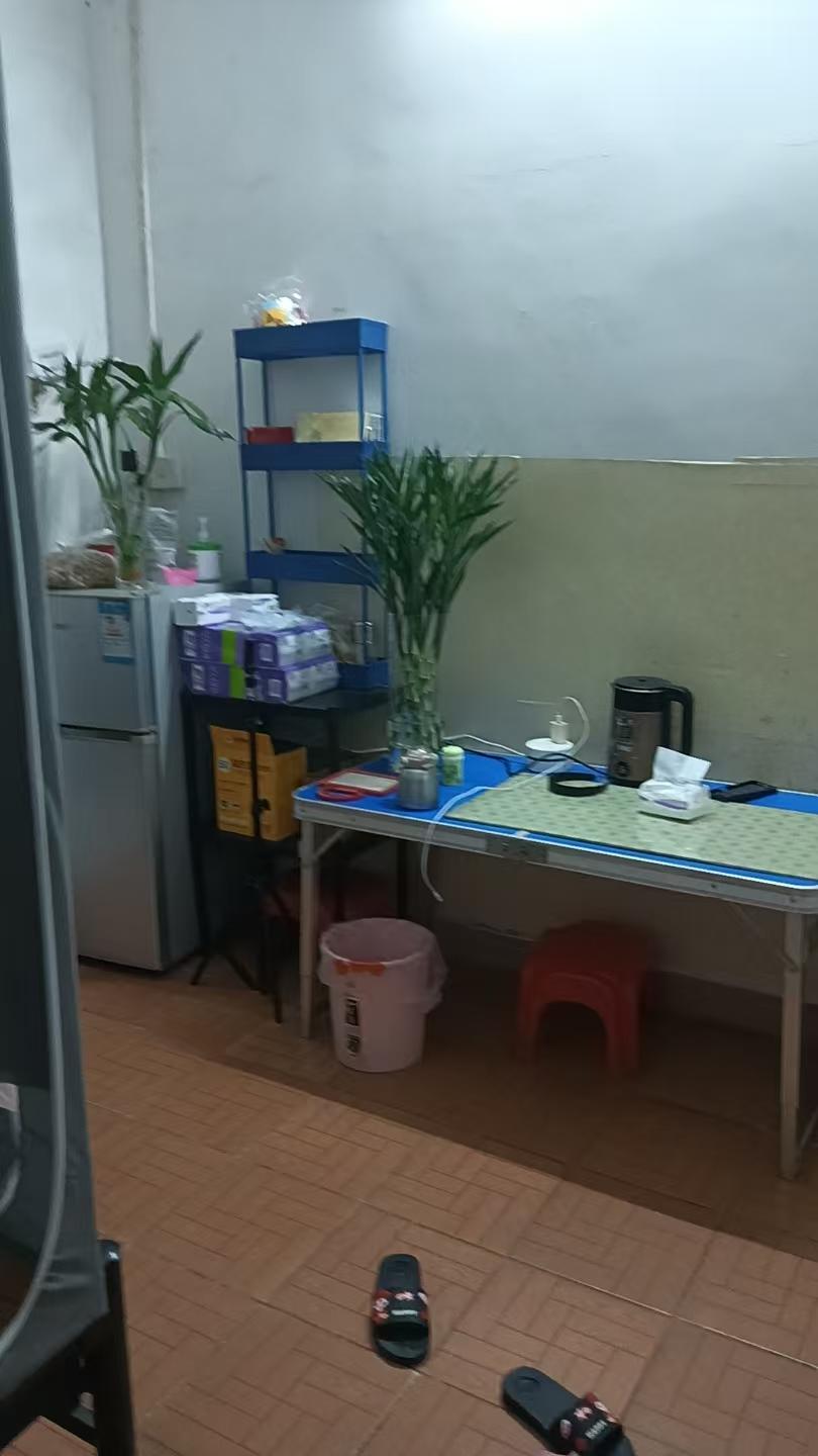 单身打工妹，一个人在出租屋的生活。每天晚上回到家里就是躺着刷抖音。这两天我侄女在