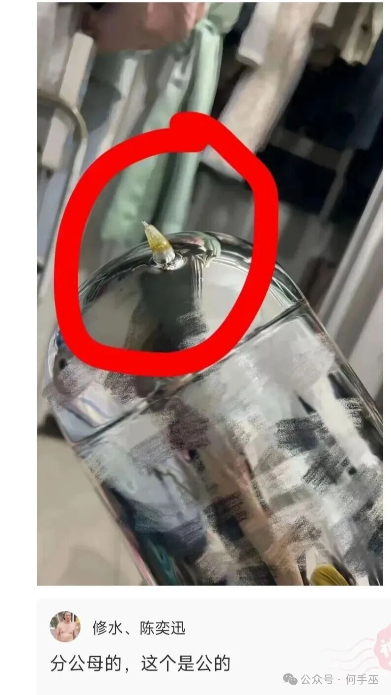 暖瓶里面这是什么东西？ 