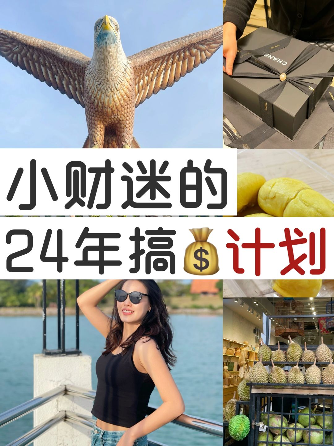 新年新战略：24年一起闷声发财💰（可抄作业）