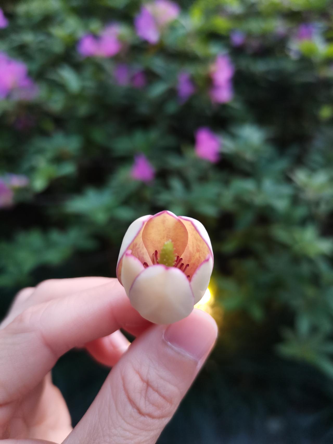 在家待一天，
看完了前几日未读完的小说《春潮》，
感觉大多数人都曾是萨宁，
由于