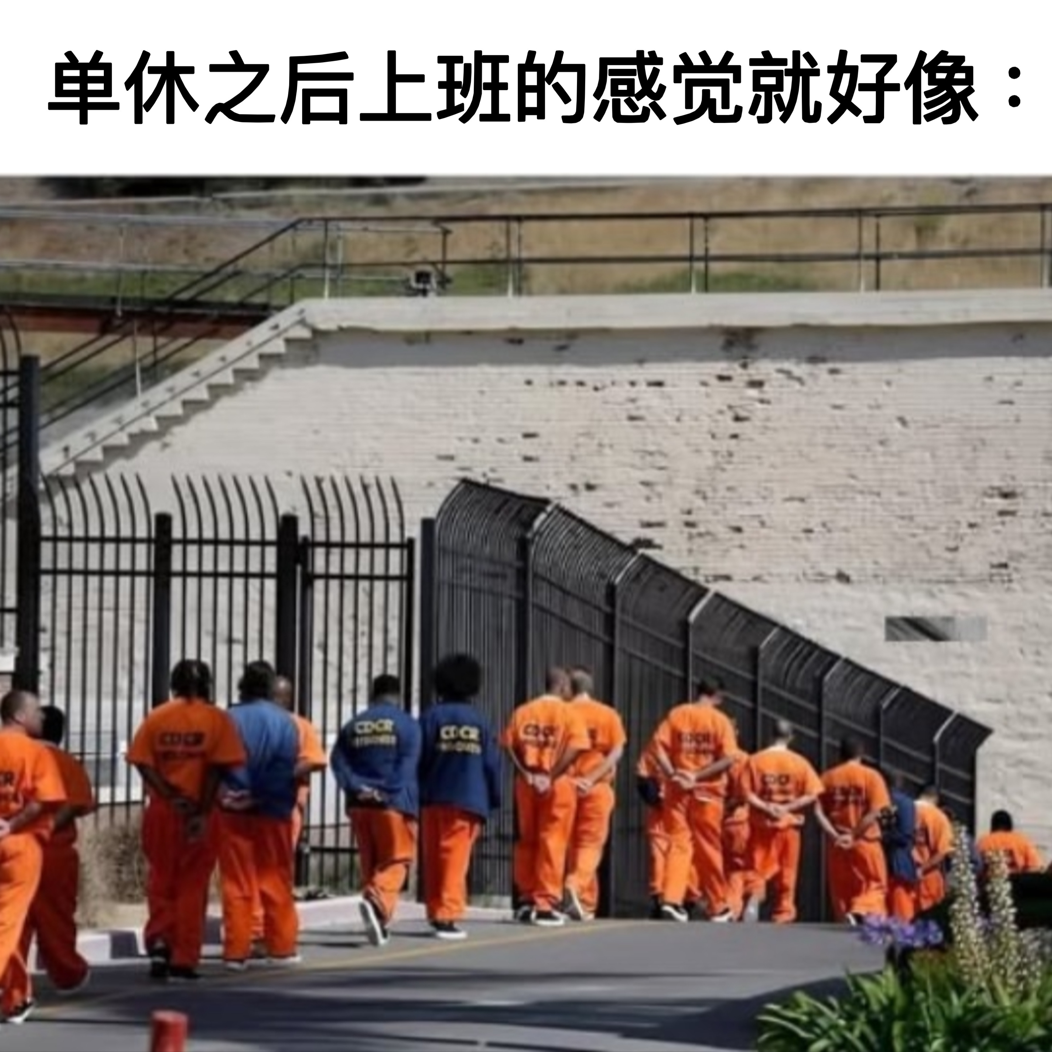 双休也一样memes