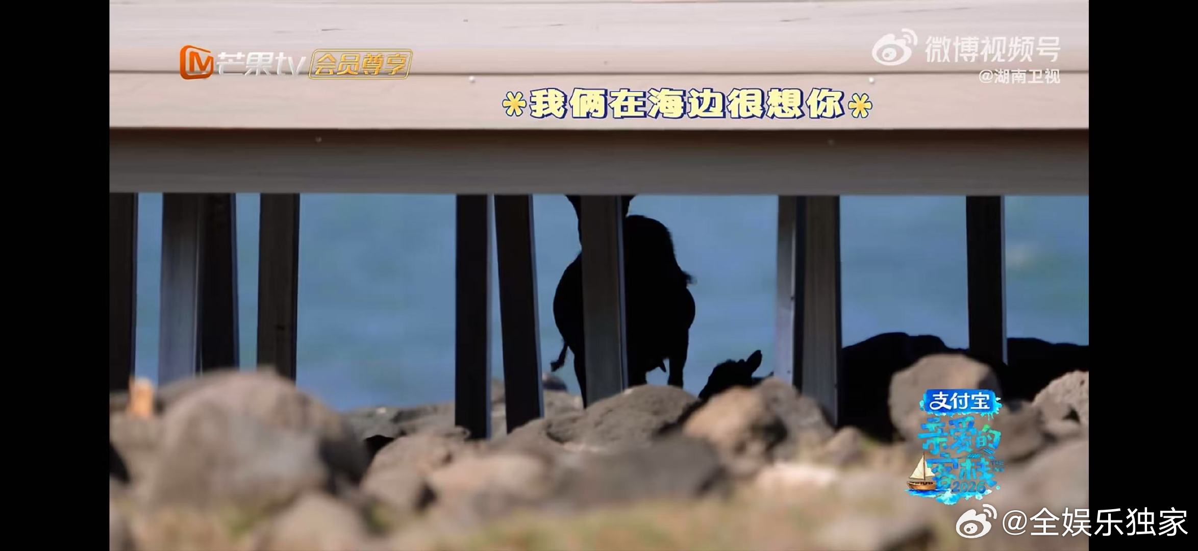 王鹤棣被羊遛了亲爱的客栈王鹤棣追羊名场面来袭，本想帅气收场，结果被羊遛到认输 