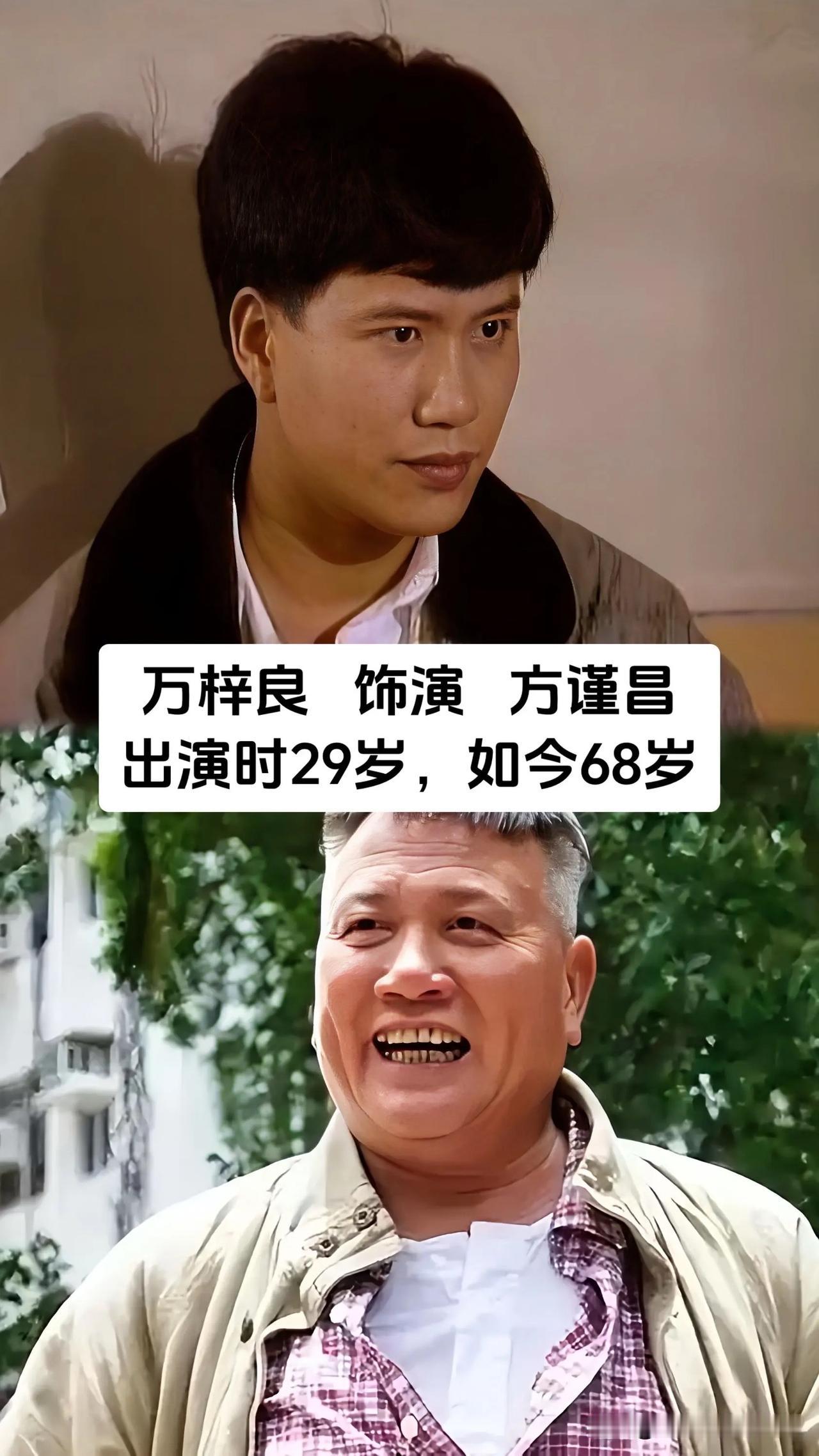 看过这部港剧的人大多已经步入中年，在《流氓大亨》中，万梓良、郑裕玲、吴启华、刘嘉