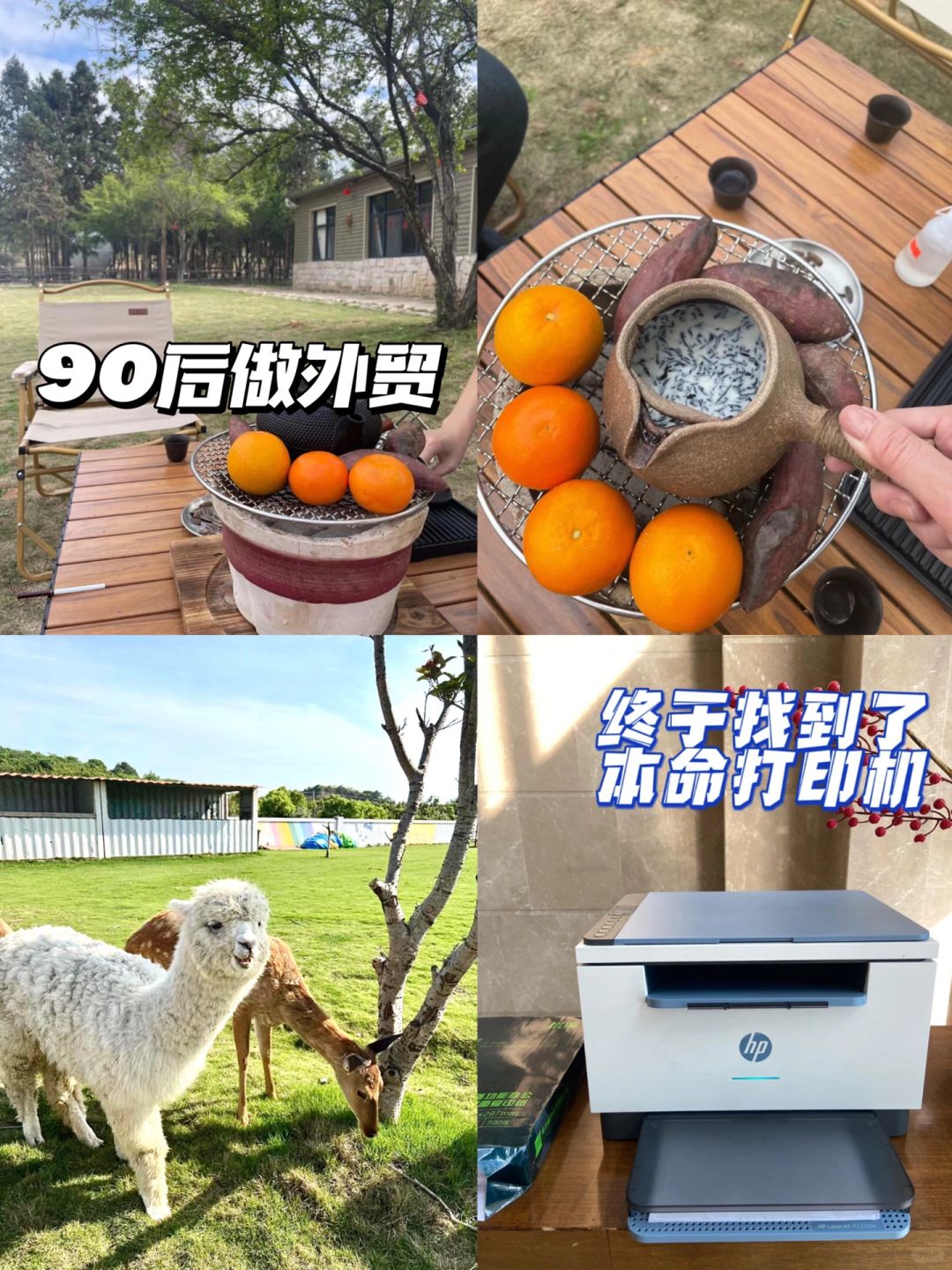 家人们谁懂啊，终于找到了本命打印机