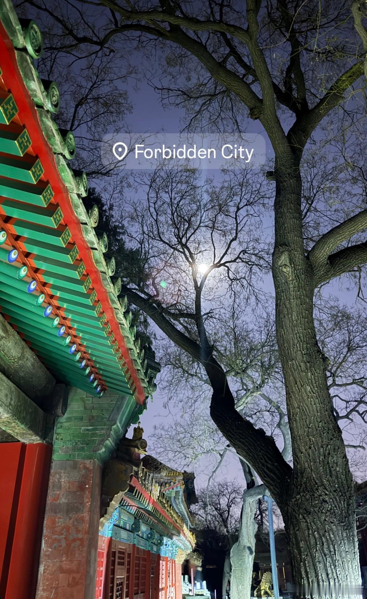 真去夜游故宫了