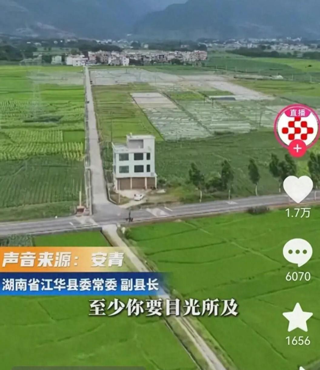 纸上种稻为哪般？央视《焦点访谈》一期节目，让湖南江华县引发全网热议。当地下达39