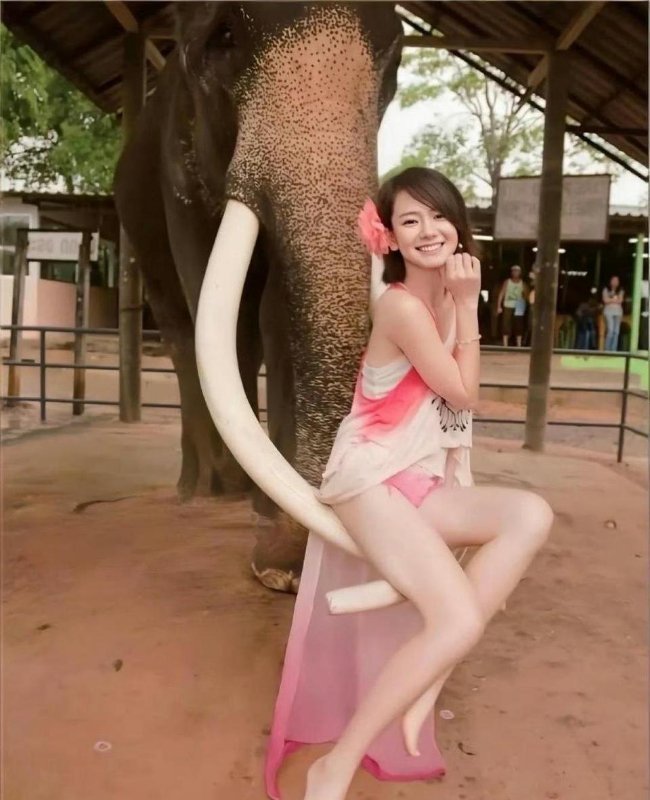 戚薇年轻时是真的嫩，笑容太有感染力了 
