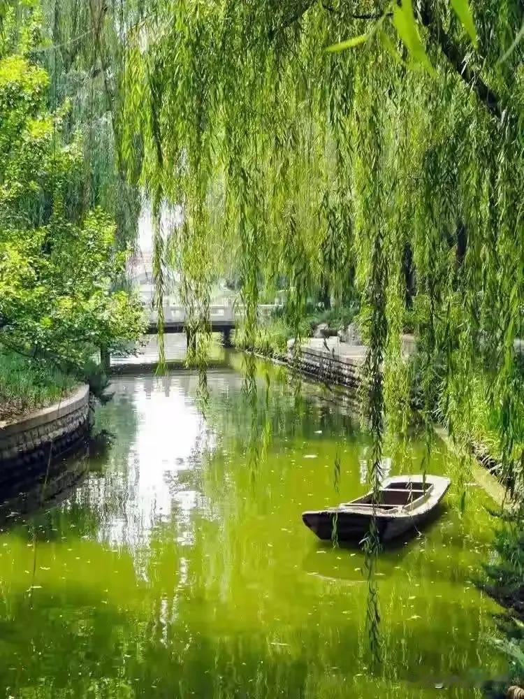 上联：有心栽花花不发求下联有心栽花花不开，无心插柳柳成荫！