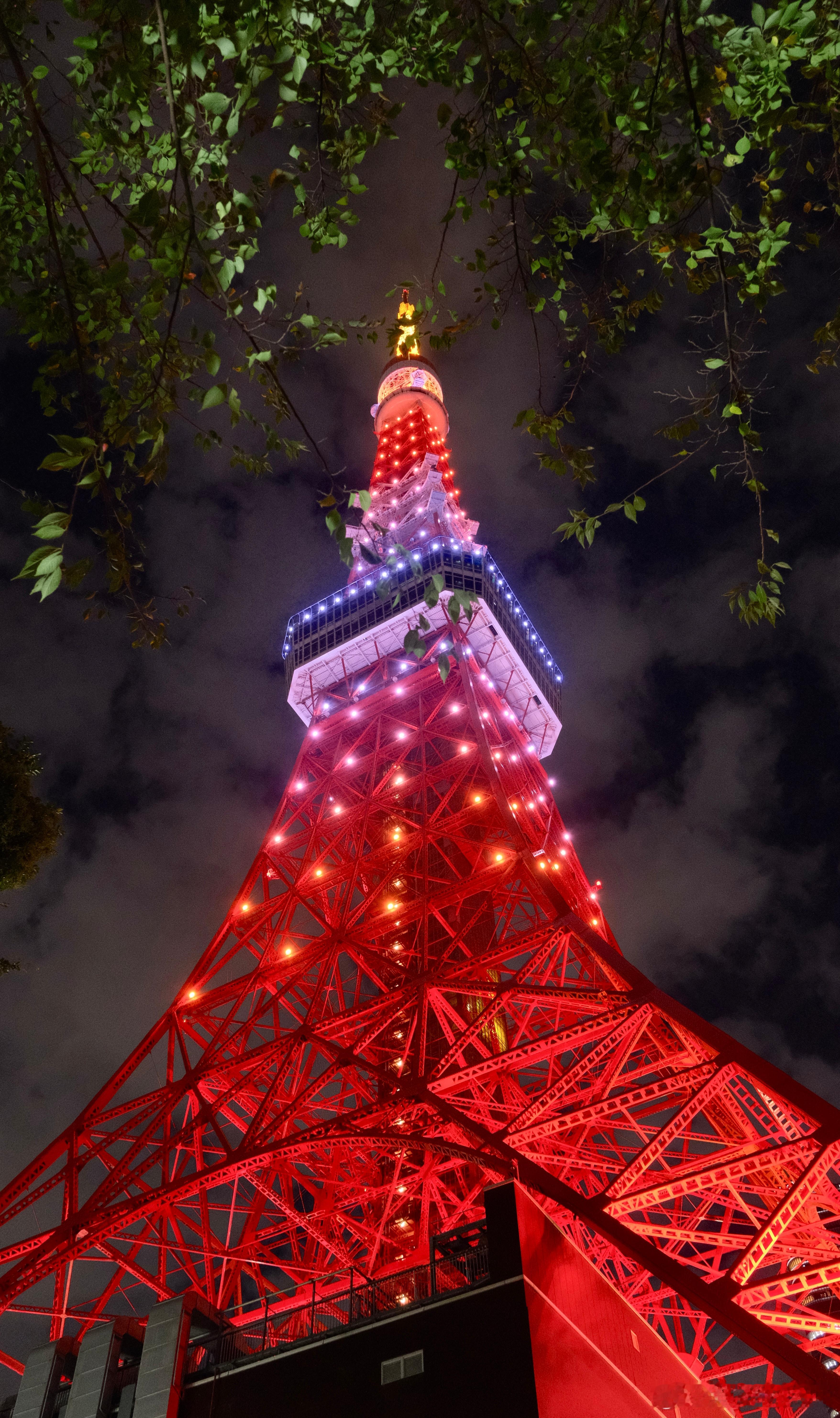 🏛️静嘉堂文库博物馆修复后大公开！静嘉堂的重文、国宝及未来的国宝 第二次来静嘉