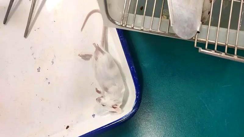 有哪些令人背脊发凉的科幻故事？
十岁那年他把生日收到的VR眼镜扔进抽屉吃灰，他嫌