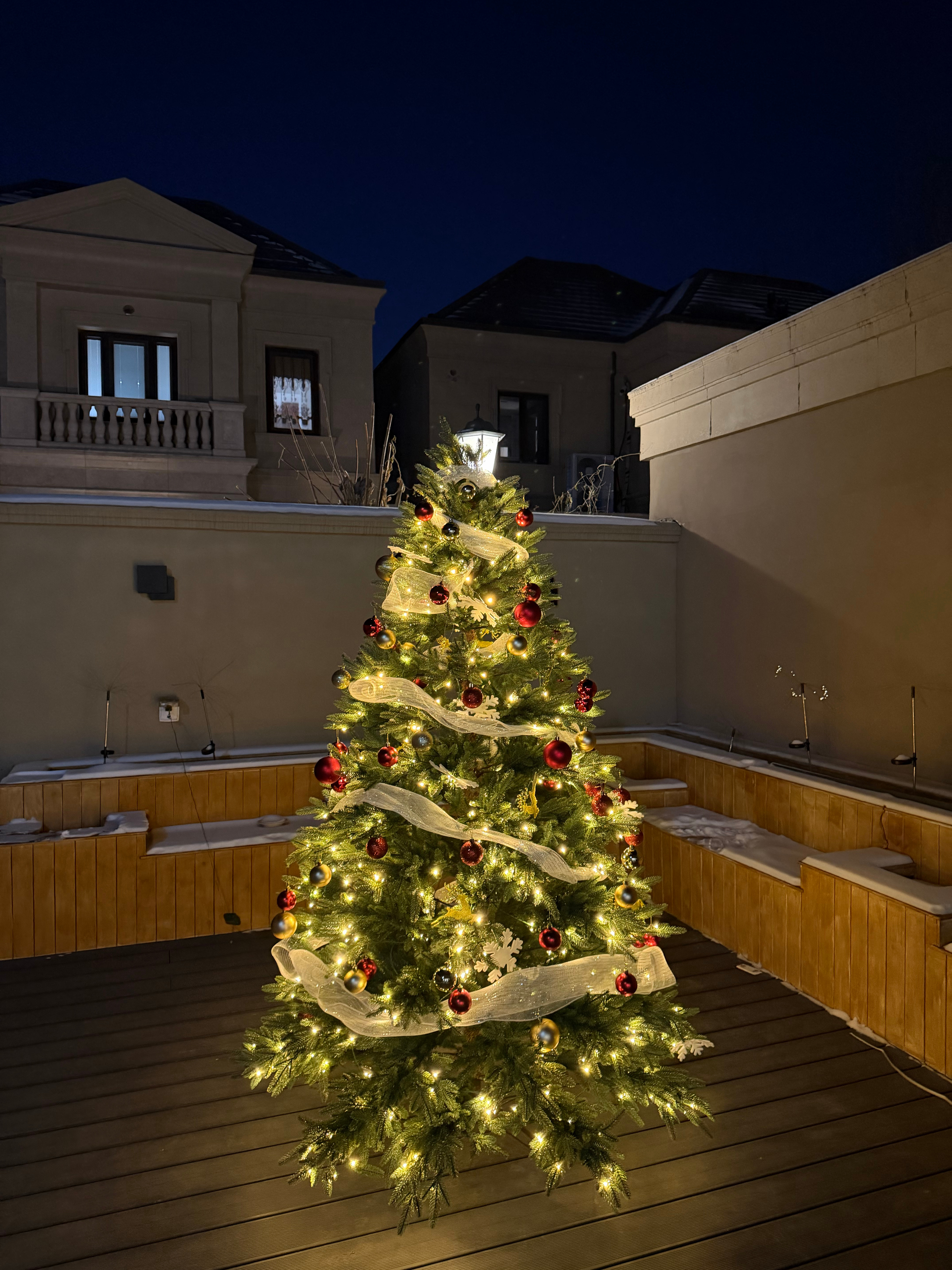 明年见🎄 