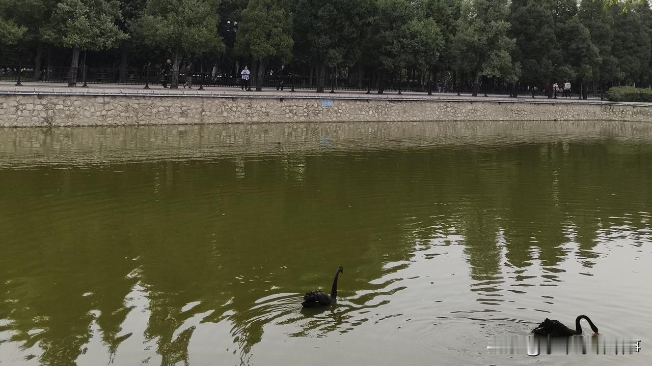 惊叹！人生感悟：人生最该学的并非挣钱与打扮，而是让自己快乐的能力，你有吗？
出生