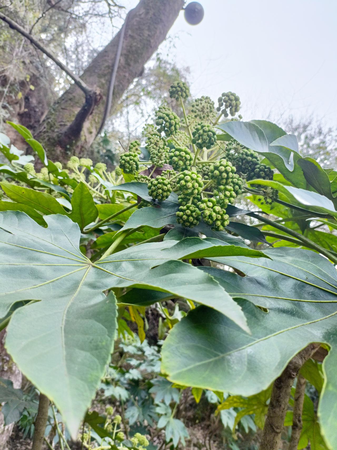 今年春天最想实现的心愿