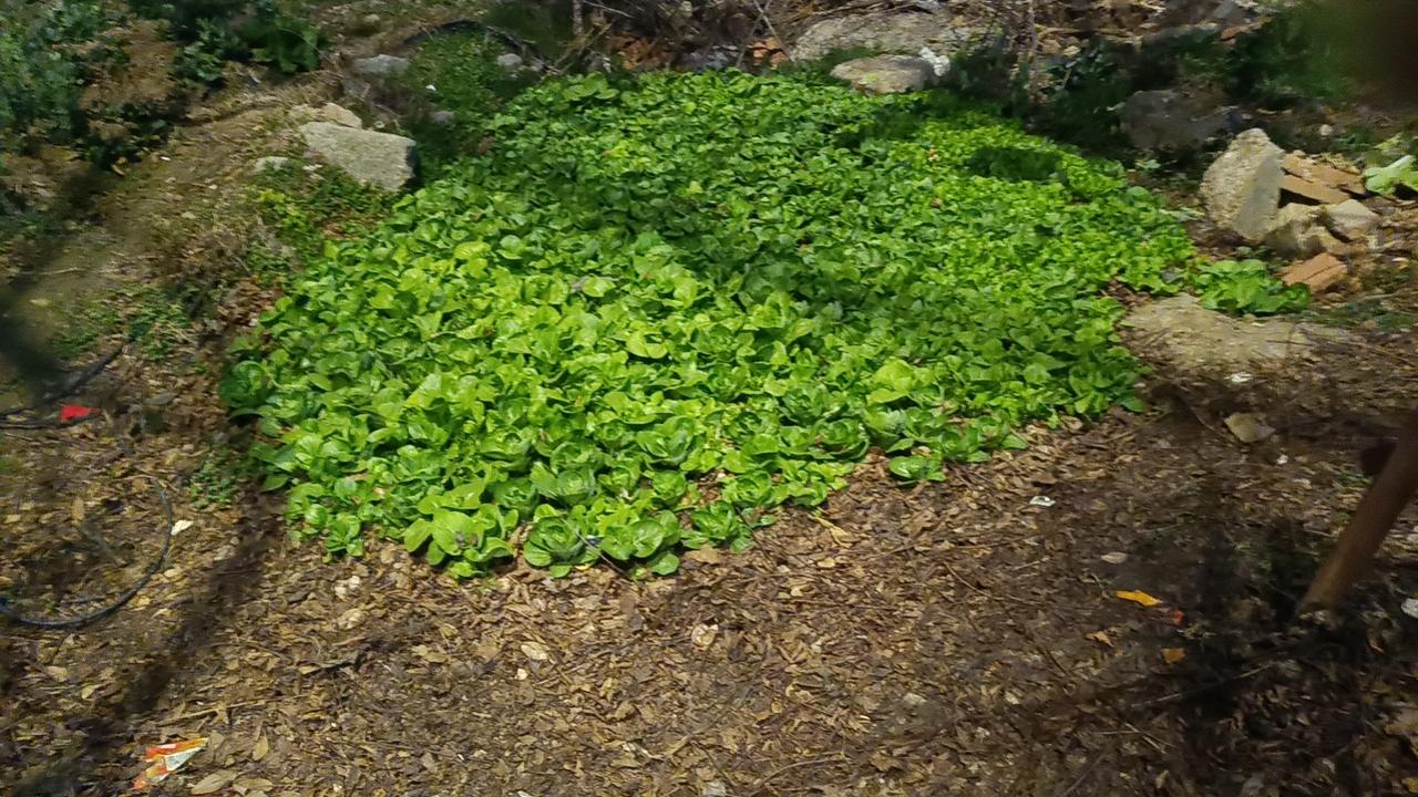 首先，要理解老人“不愿与子女同住”的心情，不能只看表面。很多老人并非不孝，而是出