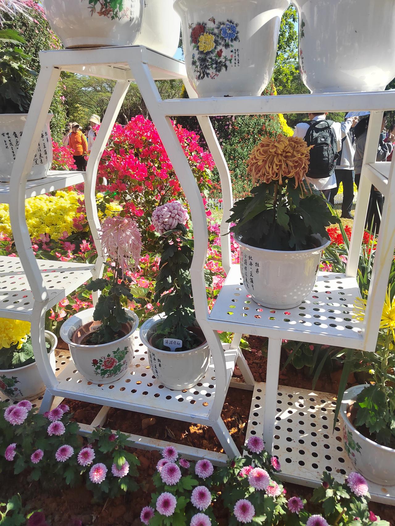 这一年我终于学会了，那些人让自己不开心的，都远离他，直接拉黑他，删除他，心情就安