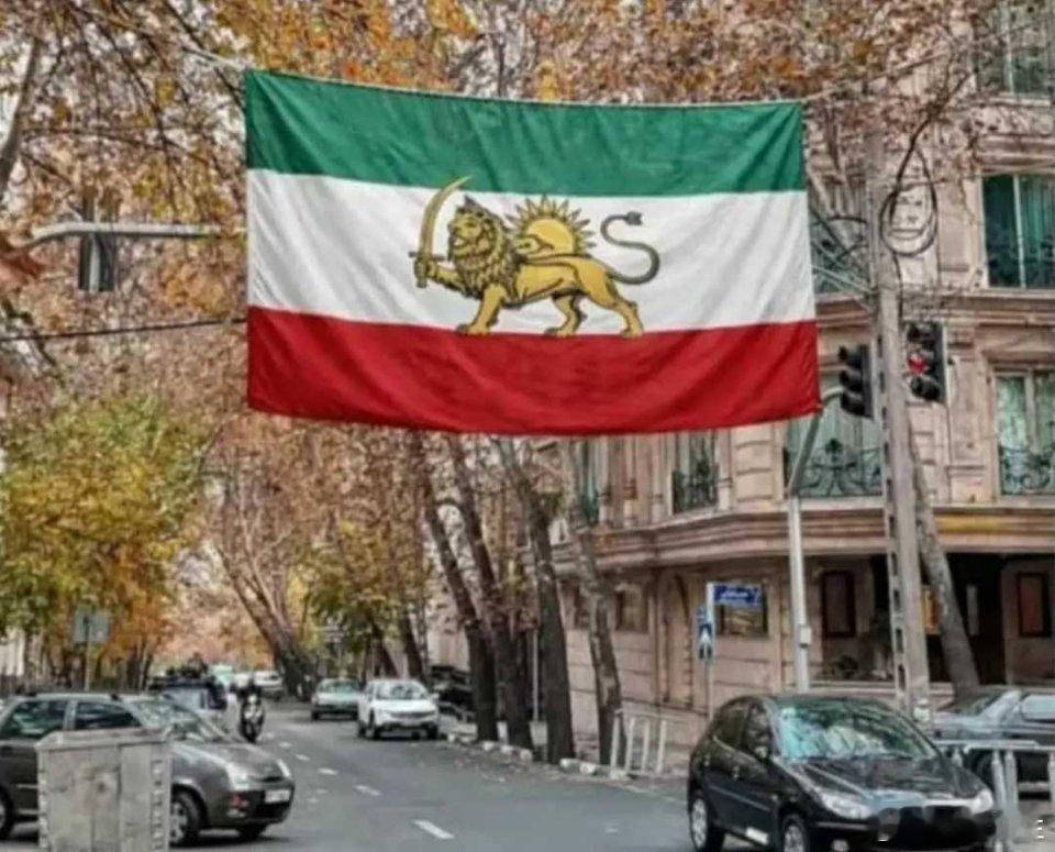 伊朗骚乱 伊朗，德黑兰街头出现了巴列维王朝时期的国旗。 