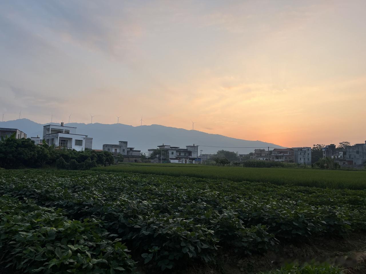 早上，东方泛红，东边被朝霞染成红色，太阳旭旭从山尖升起，耀眼的光芒照耀整个大地，