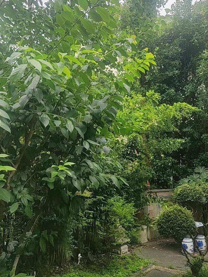 夏日生活打卡季