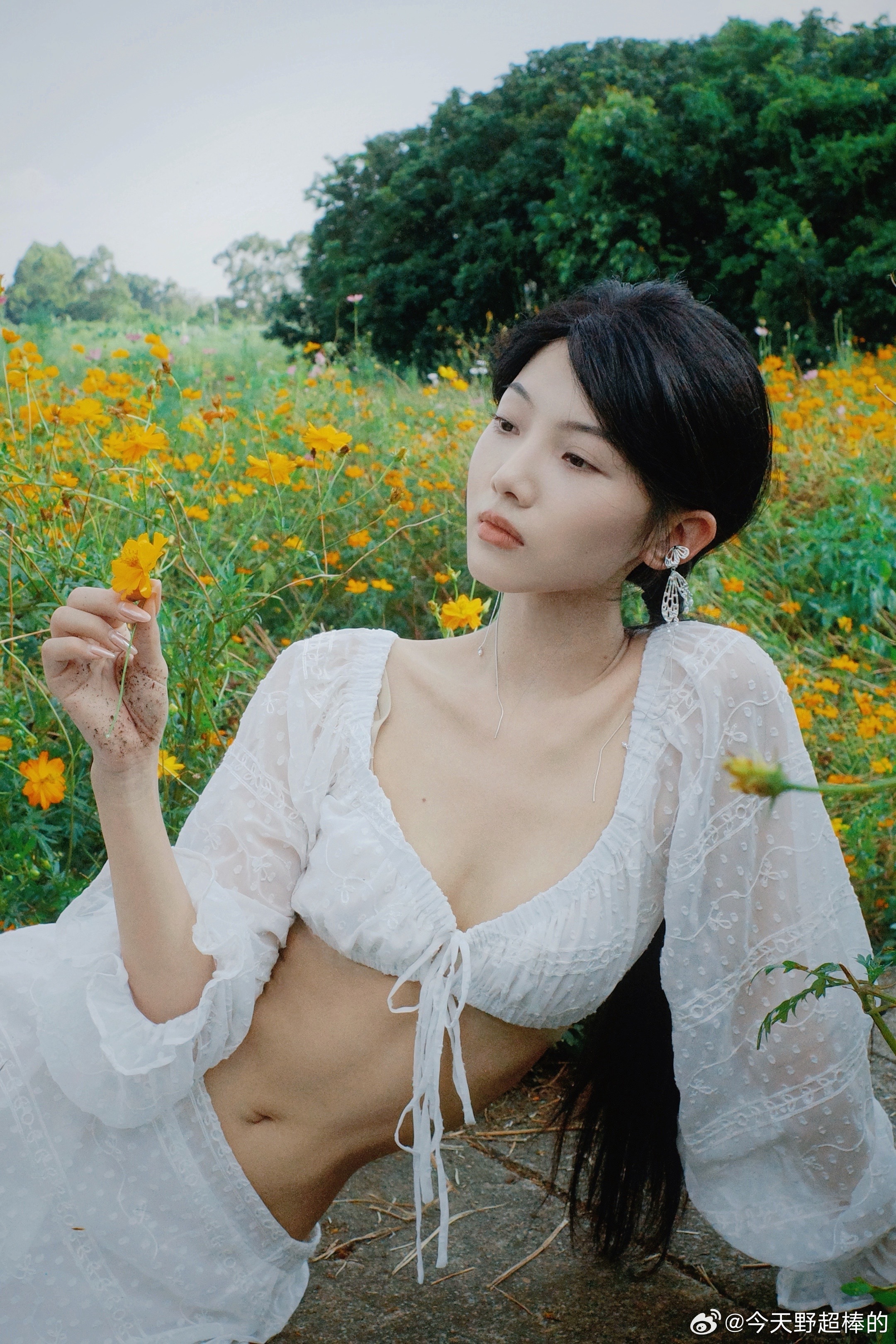 夏天就要过去了 