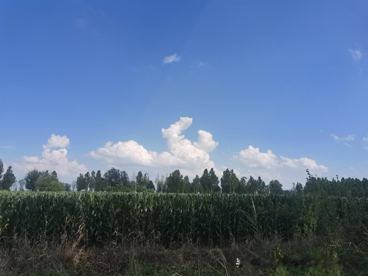 鲁西北三伏天睡午觉避暑的传统习俗是被啥改变了？

德州农村，以前每年夏天都是要睡