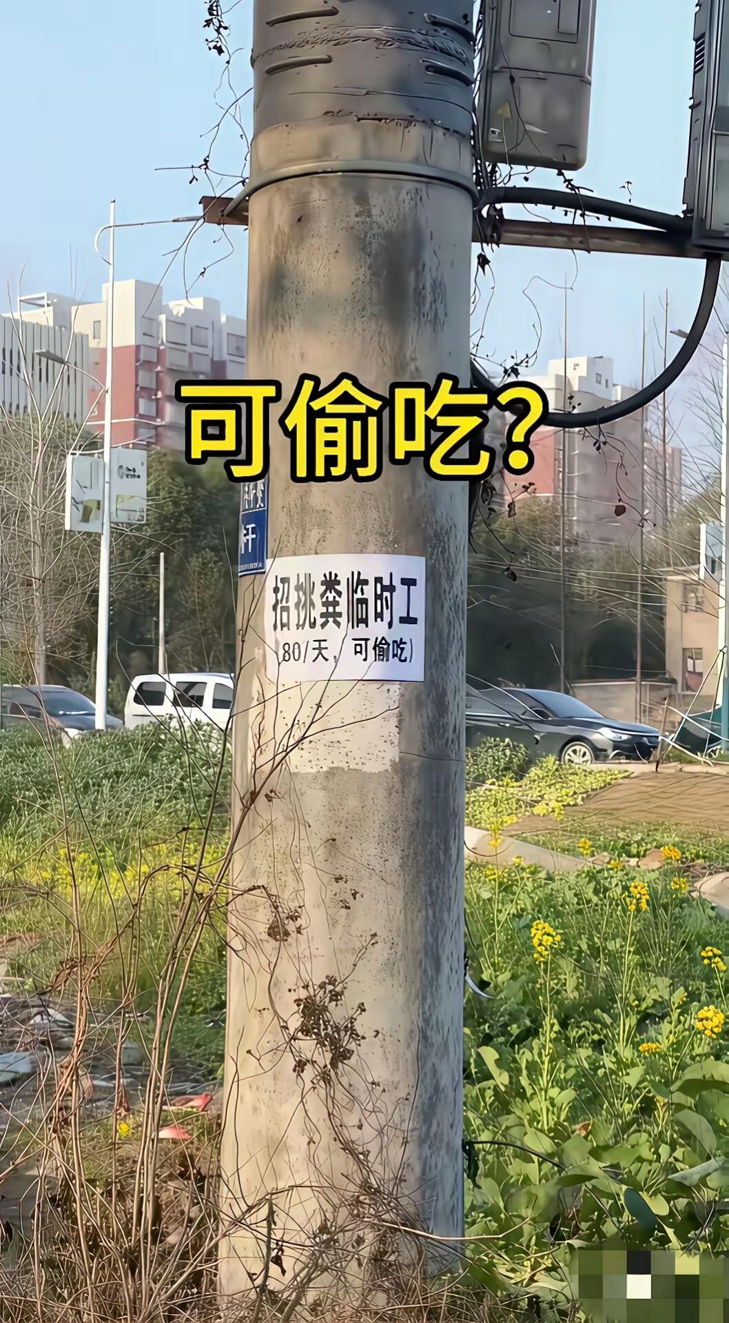 是我见识太少，还是我语文学的不好，我怎么看不明白这玩意！！