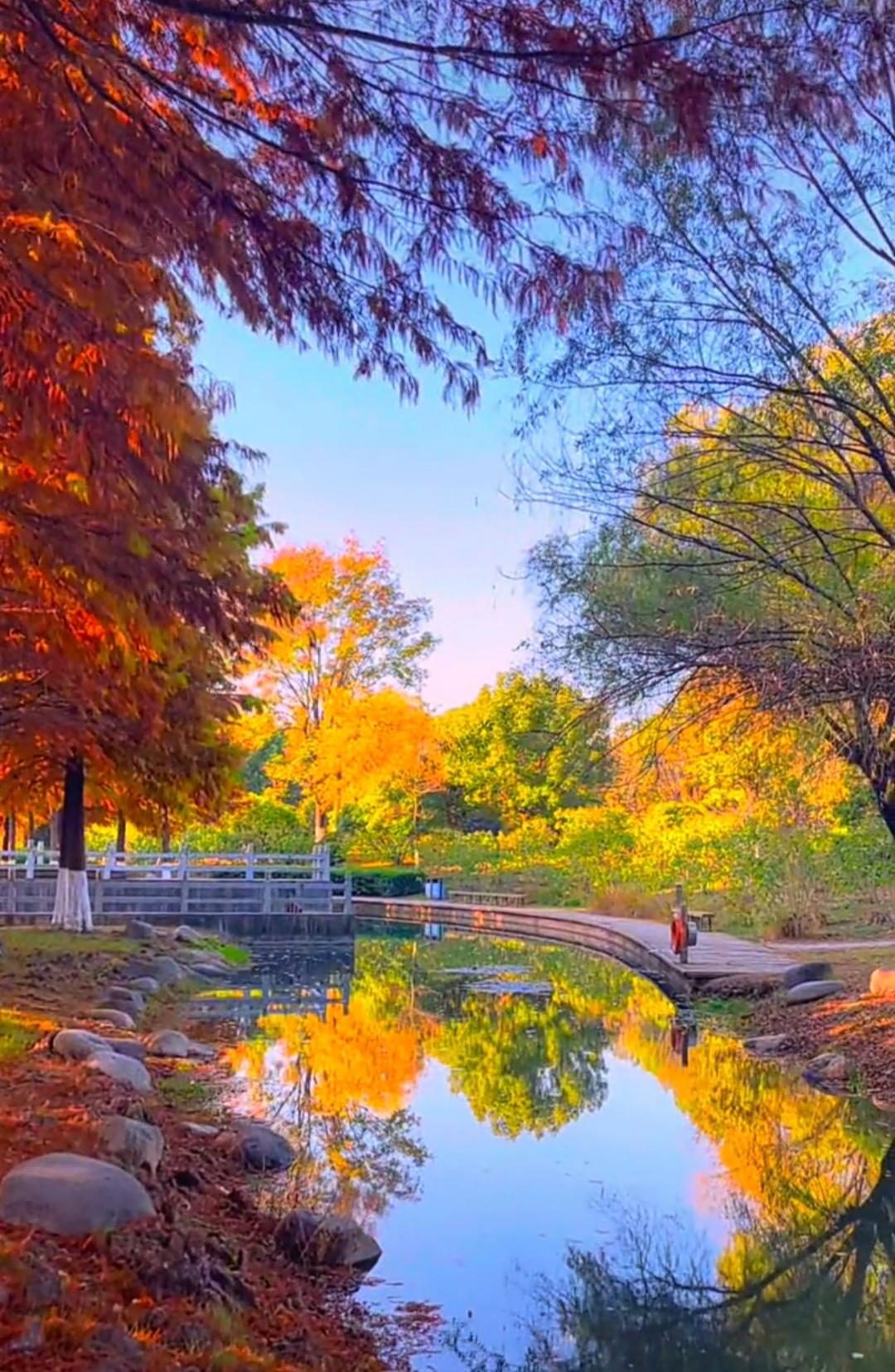 分享一张最近随手拍的照片