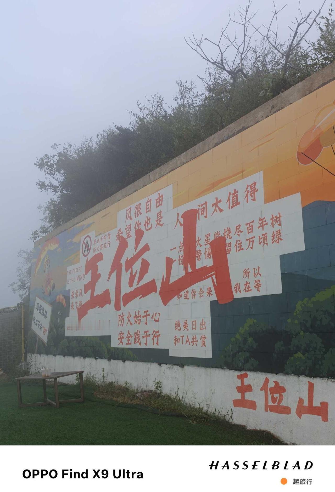 勇闯雾天王位山！没追到流星
📍杭州自驾1h直达｜山野风车治愈感拉满
漫山草甸+