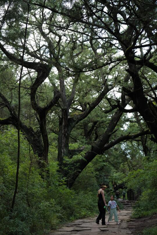 泡川北第一温泉，走古蜀道金牛道